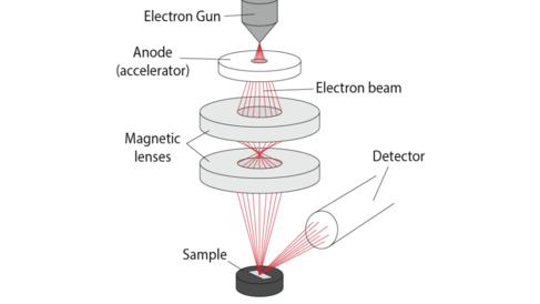 SEM Schematic