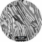 eutectic microstructure